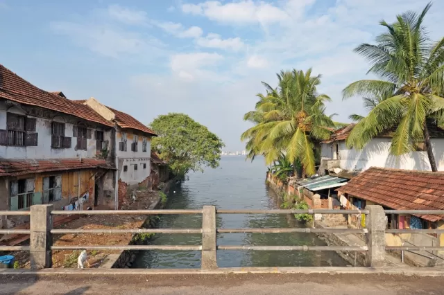 kochi Picture