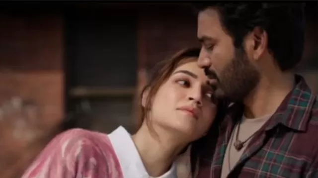 Tere Ishk Mein Review Picture