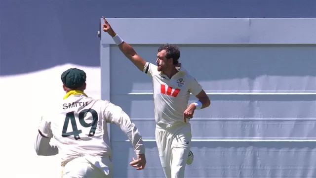 Mitchell Starc Picture
