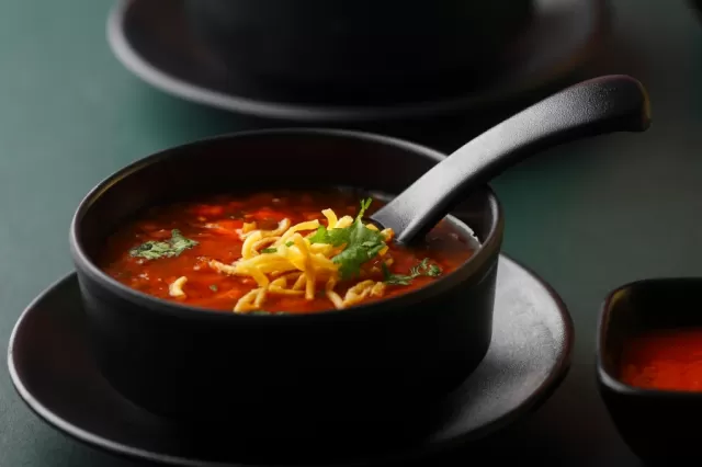 Vegetable Manchow Soup Picture