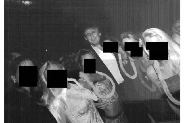 Epstein Files Picture