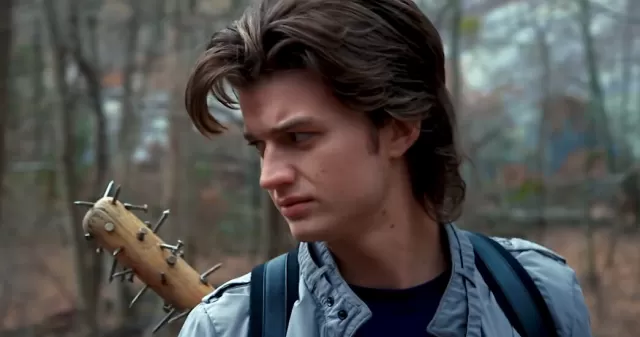 stranger things Steve Picture