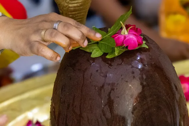 shiv Picture