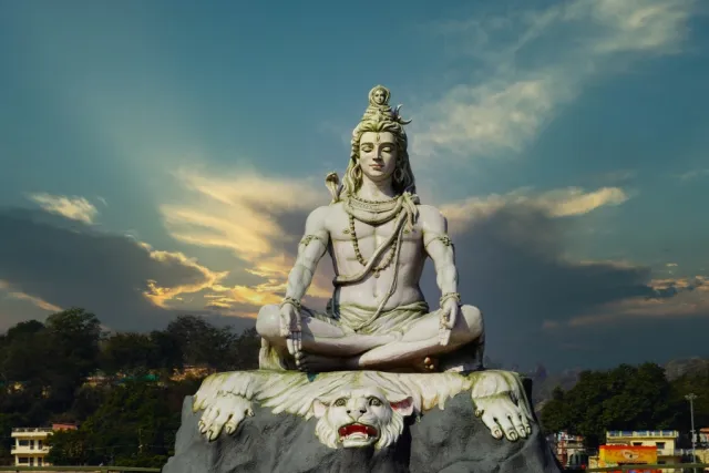 pardosh Picture