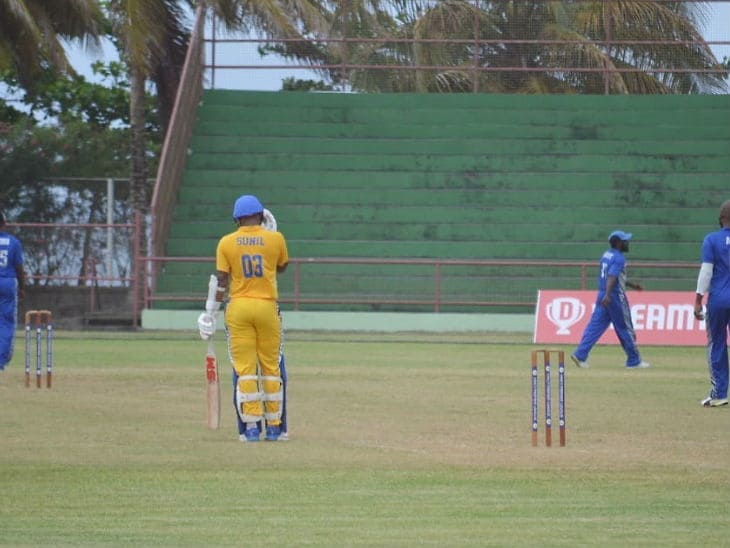 vincy Picture