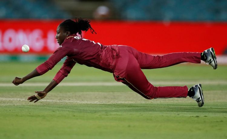 Stafanie Taylor  Picture