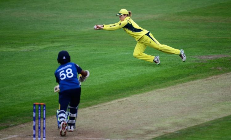 Alex Blackwell Picture
