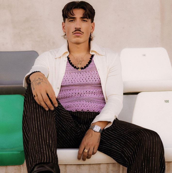 hector bellerin Picture
