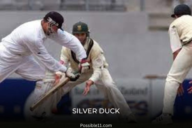 silver duck Picture