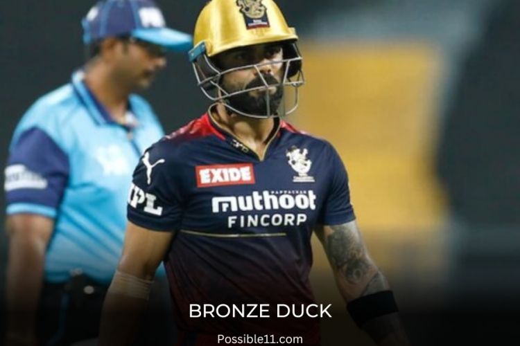 bronze duck Picture
