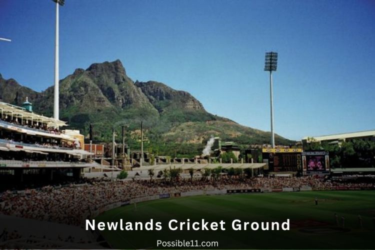 newlands Picture