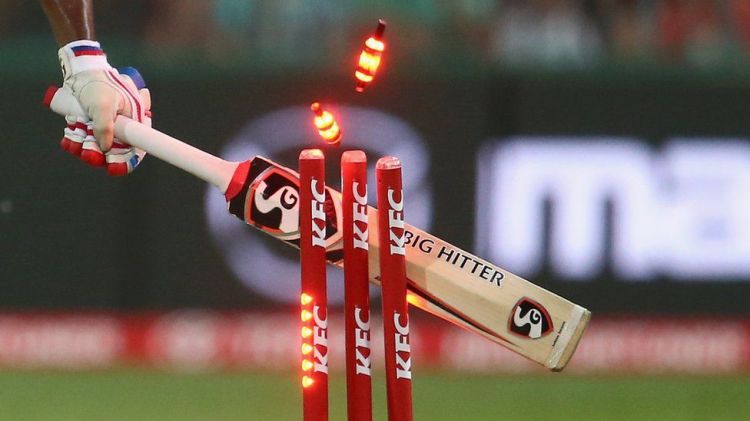 LED Stumps and Picture