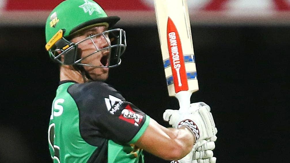 m stoinis Picture