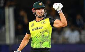 Marcus Stoinis Picture