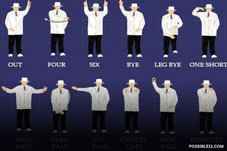 umpire signals Picture