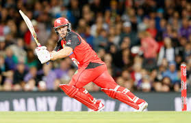 finch Picture