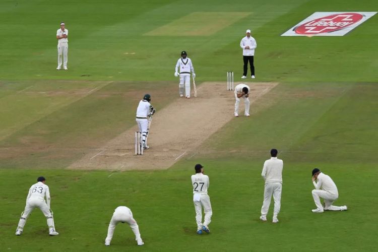 test fielding Picture
