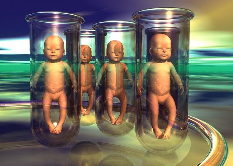 human cloning Picture