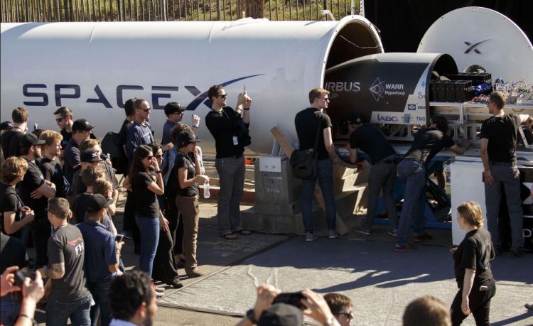 musk hay Picture
