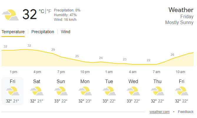 PAK vs NED weather Picture