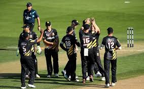 wellington Picture