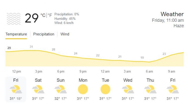 NED vs AFG Weather Report Picture