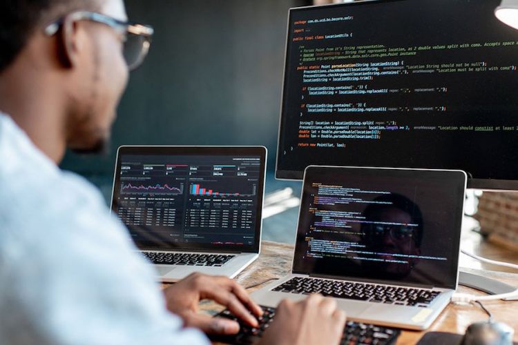 Full Stack Software Developer Picture