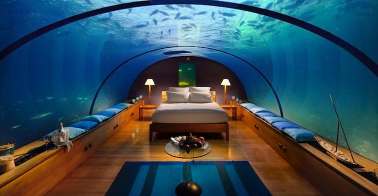 under water Picture