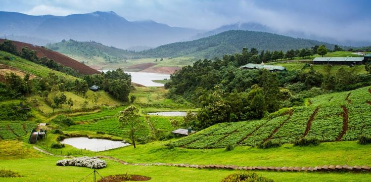 ooty Picture