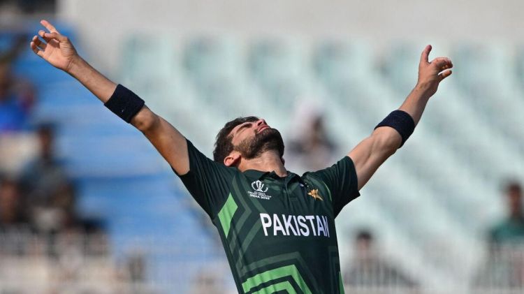 Shaheen Afridi Picture