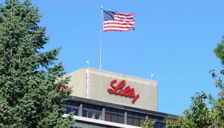 lilly Picture