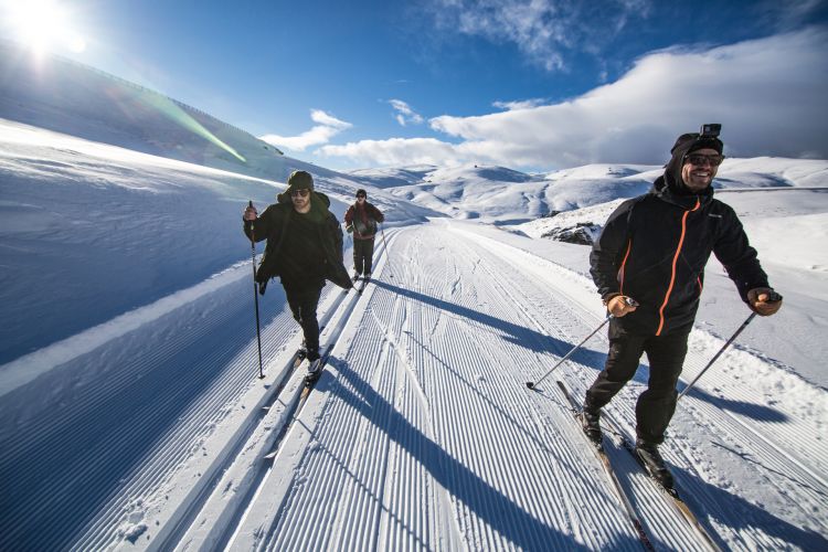 Cross-Country Skiing Picture