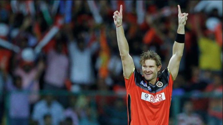 Shane Watson Picture