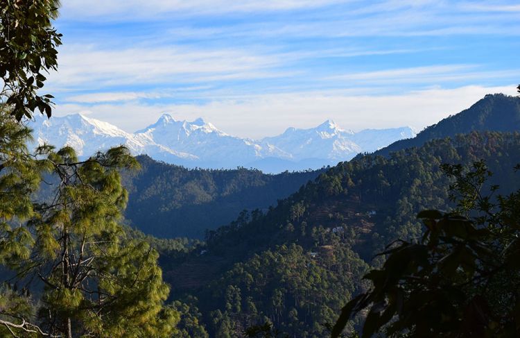 Binsar Picture