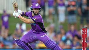 matthew wade Picture