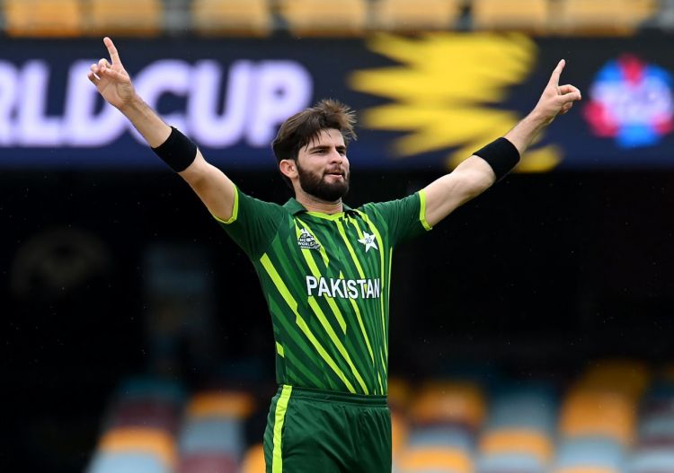 Shaheen Picture