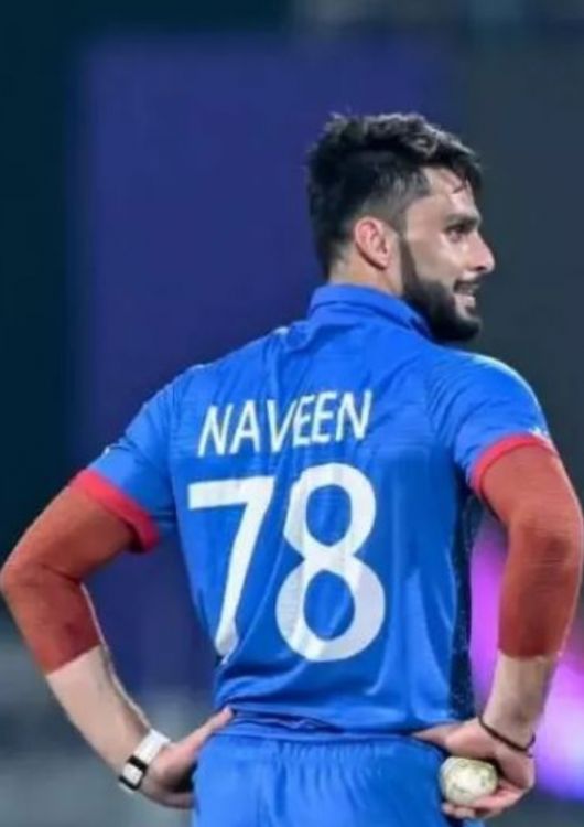 Naveen Picture