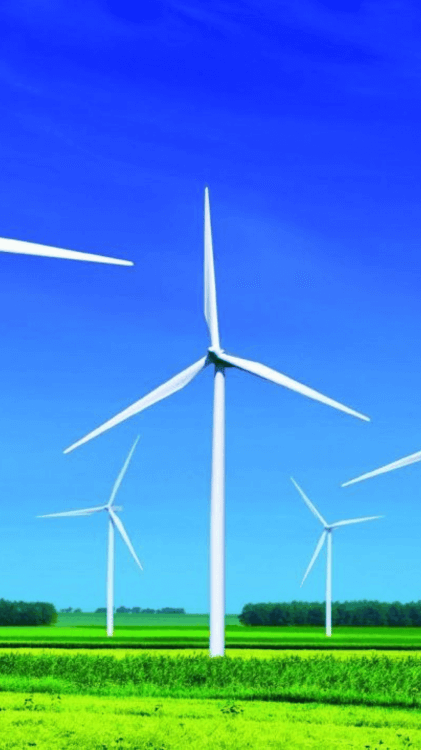 wind Picture
