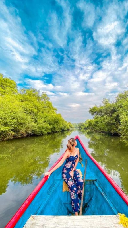 Charao Island, Goa Picture