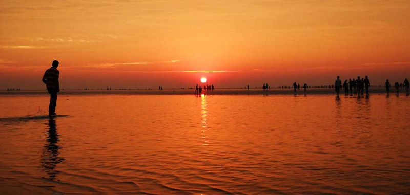 Chandipur Beach in Balasore Picture