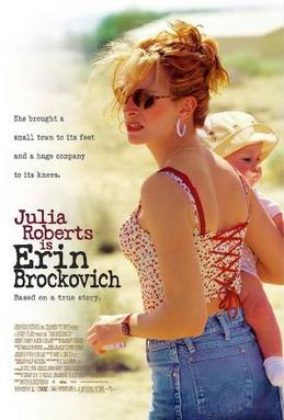 Erin Brockovich Picture