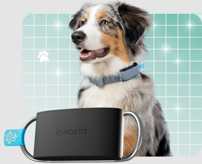 Invoxia Minitailz Smart Collar Picture