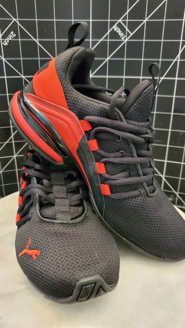 puma Picture