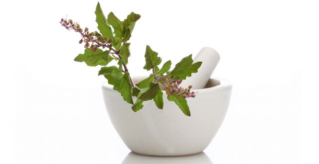Use Honey and Tulsi to Picture