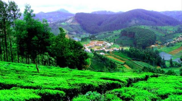 ooty Picture