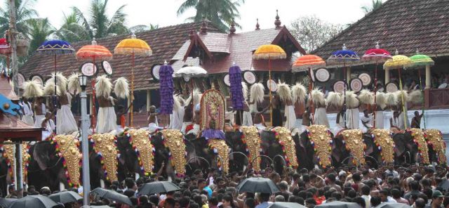 kochi Picture
