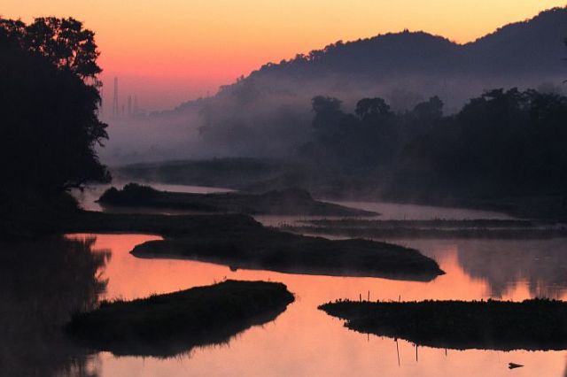 Kaziranga National Park Picture