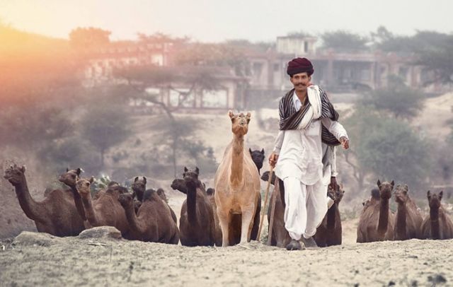 pushkar Picture