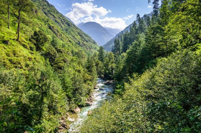 Great Himalayan National Park Picture