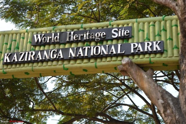 Kaziranga National Park Picture